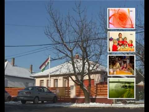 Zsebibölcsi riportok