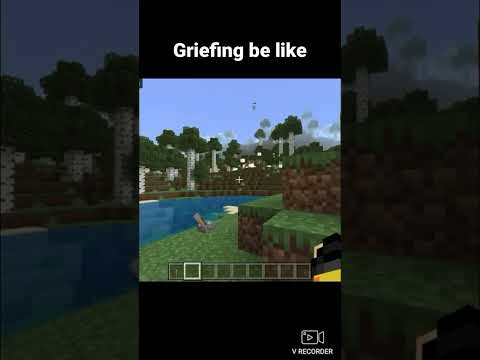 Stifffler - Minecraft griefing be like….