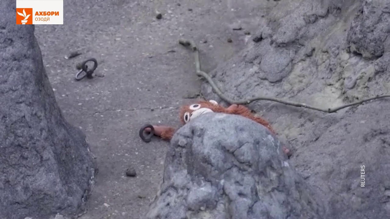 Ахбори Озодӣ аз 20-уми феврали соли 2026 (Пахши зинда)