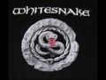 Whitesnake - Slide It In (with Lyrics) 