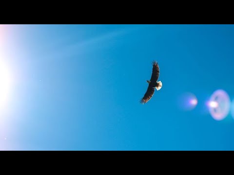 Ber to vážně, život naplněný duchem svatým, pastor Schaller, 1.8.21