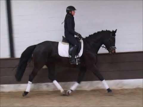 DESTINY 3j. v. De Niro - Welser  for sale VB 6.500,- Euro