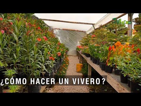 How to start a plant nursery - TvAgro by Juan Gonzalo Angel Restrepo