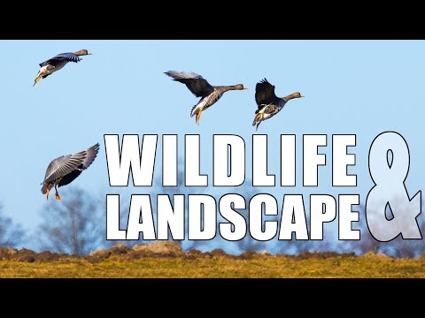 LANDSCAPE & WILDLIFE photography in Biebrza National Park