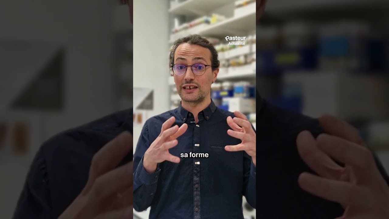 Cellules en guerre