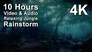 4K UHD 10 hours - Jungle Hut Rainstorm  - mindfulness, ambience, meditation, nature