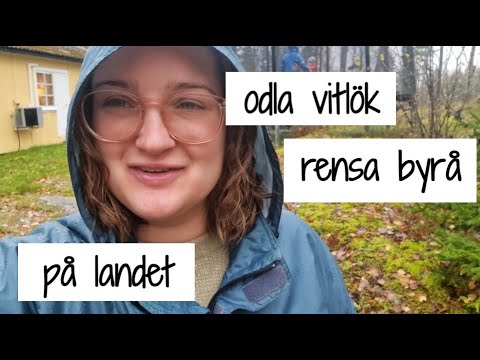 RENSA med mig // helg på LANDET // ODLA vitlök i skogen