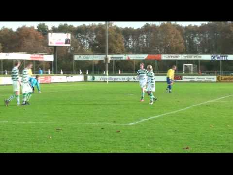 deWeideC1 - ViboaC1      05-11-2011