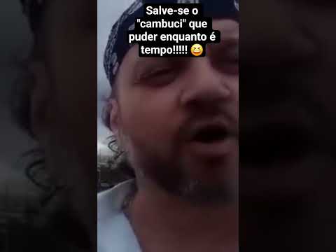 Nunca vi "cambucis" tão danosos como são os de Natividade da Serra .  🤣🤣🤣🤣🤣🤣🤣🤣🤣🤣