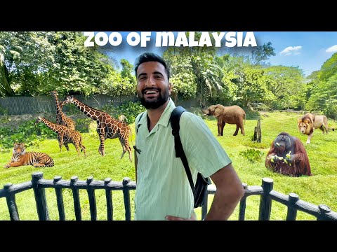 National Zoo of Malaysia Gaiy Bht Maza Aya😍