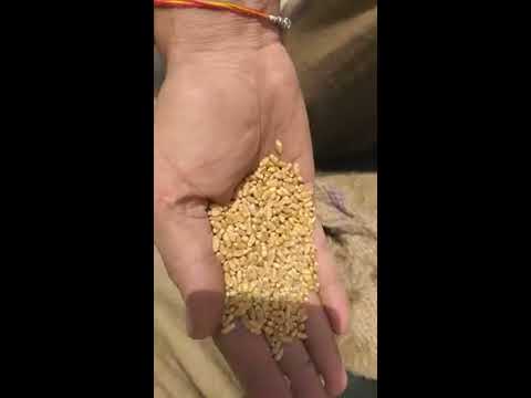 Cylindrical Grinding Machine