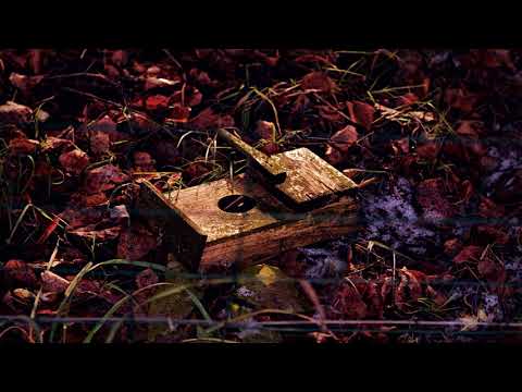 Perkūnija feat. Modestyno - MANO NAMAI (Radio edit)