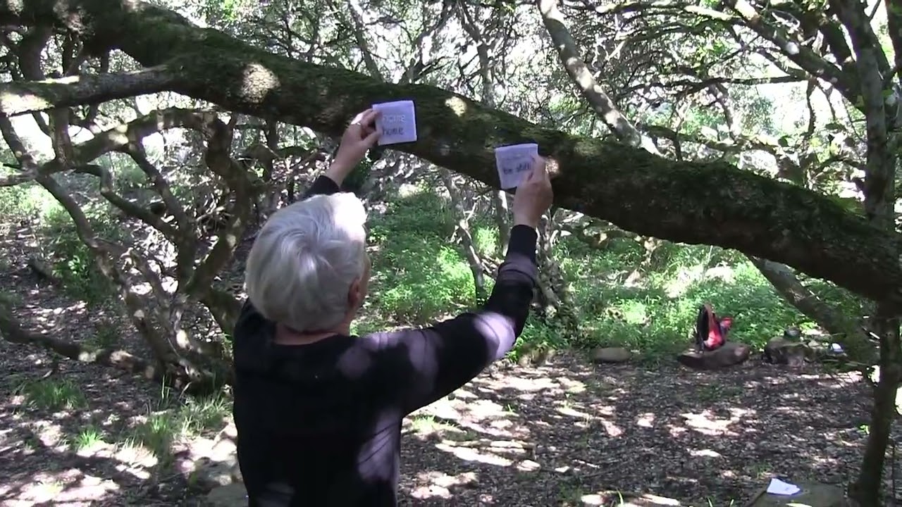 Trees are Sanctuaries