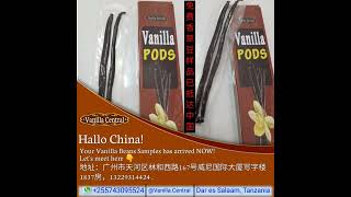 Download lagu China Vanilla Beans Samples. mp3 Download lagu China Vanilla Beans Samples. mp3