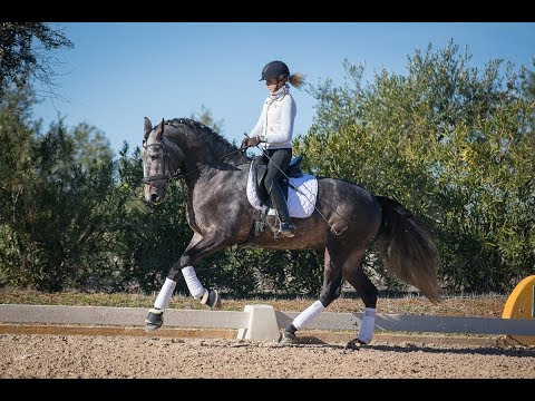 #IranicoJGR in training with #MariaCaetanoCouceiro  -  #TeamRubi & #PCITeam