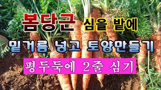 [텃밭농부 2,162]  봄당근 심을 밭에 밑거름 넣고 토양만들기! #당근재배