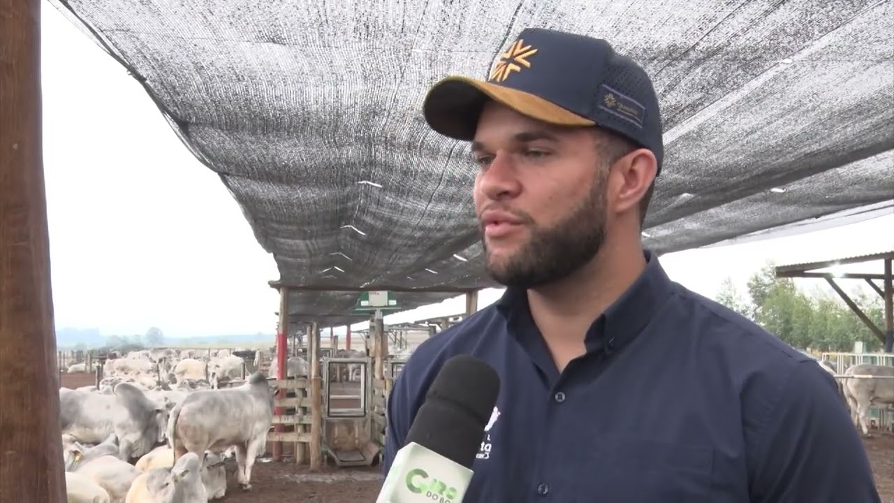 NELORE: QUALITAS COMEMORA EVOLUÇÃO DE TRÊS DÉCADAS DA RAÇA MÃE DA PECUÁRIA BRASILEIRA