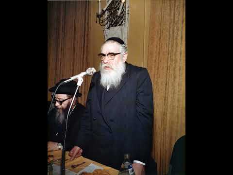 Rabbi Shloma Zalman Hecht - Di Velt Dertzeilt - R' Elimelech of Lizhensk & The Boy Avner