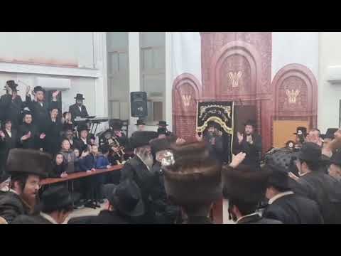 Hachnosas Sefer Torah in Kosov Viznitz - Teves 5783