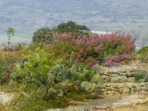 Maltese Singers 44 - Maltese Folk Song