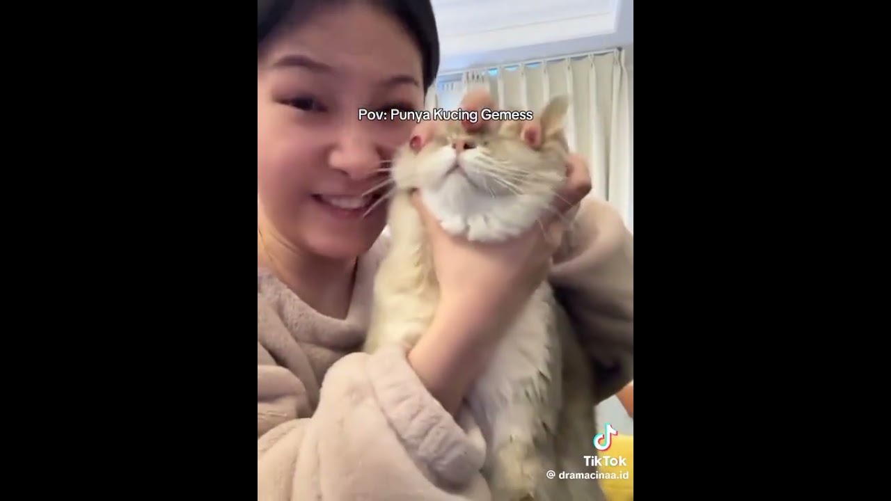 Pov: Punya Kucing Gemes 🗿Credit:TikTokz#kingkyroo#naufal_editz