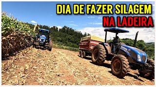 Dia de fazer SILAGEM de milho com os tratores (2 dias de muito trabalho e calor)
