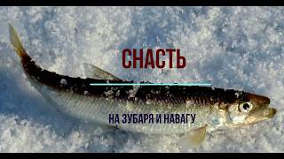 На что хорошо клюет навага