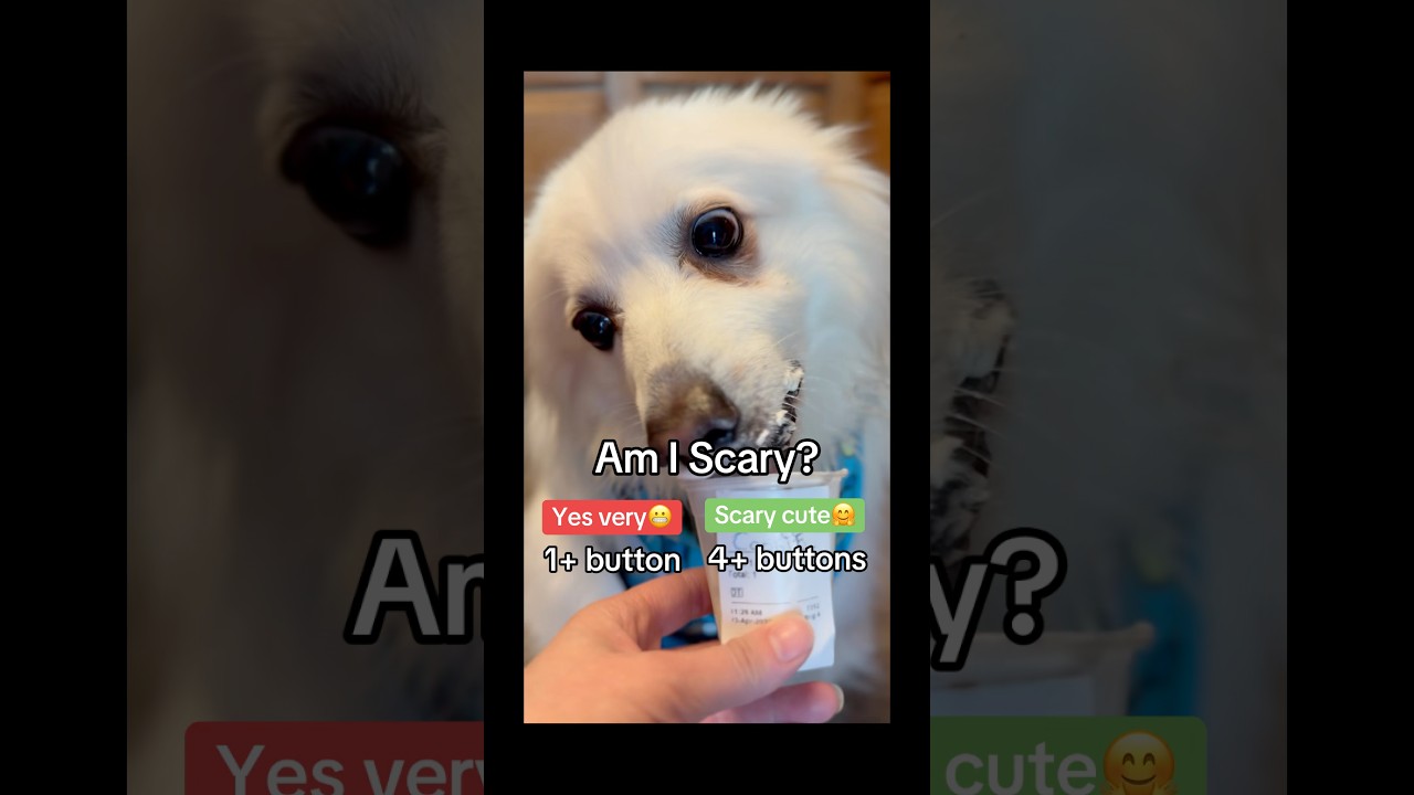 Double tap to see what happens next… you won’t expect this PT 6 😳🐶