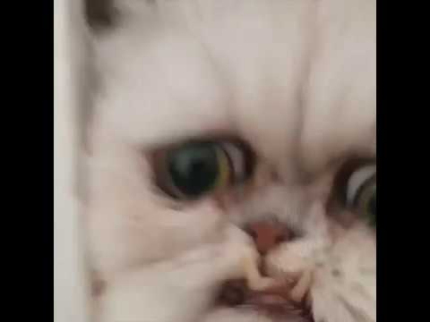 아이콘