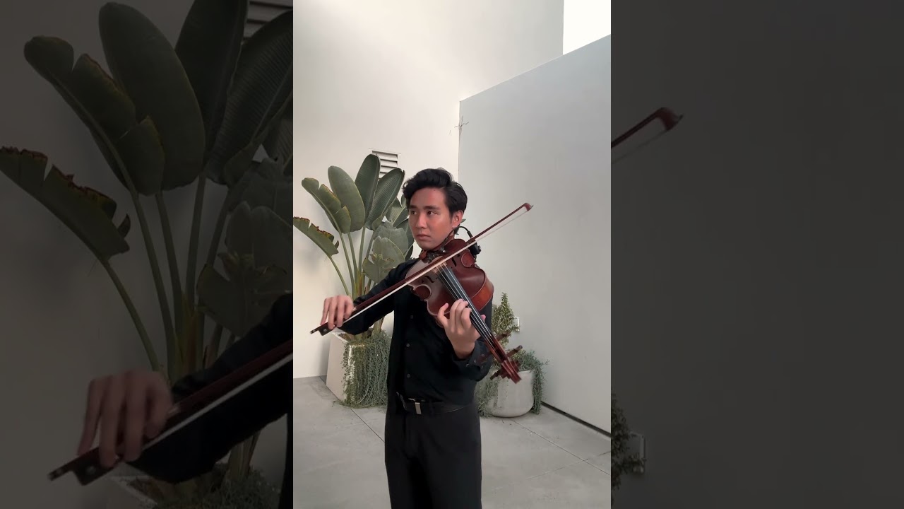 Promotional video thumbnail 2 for Jeff Lu Music