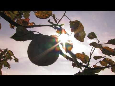 Dolenjska jesen.wmv