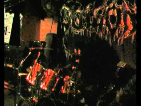 POISONOUS - Under the Blessing of Death