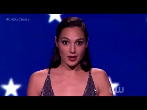 MR E ,,Transapocalypse !