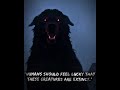 Animals That Humans Should Be Glad Are Extinct Human Edit Shorts