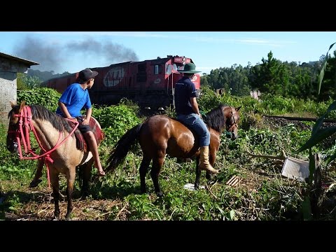 A journey through southern Brazil on the Serra Verde Express