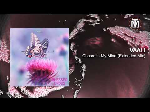 VAALI - Chasm in My Mind (Original Mix) [Blessed Cross Records]
