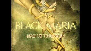 Mirrors And Cameras - The Black Maria