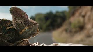 KFC EDUARDO GT | Designed by KFC (hemos sacado un coche) anuncio