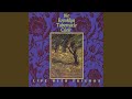 Peace in the Midst of the Storm (Live)