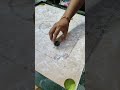 Power Of Carrom Powder Asmr Satisfying