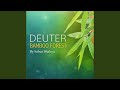 Deuter Bamboo Forest 1