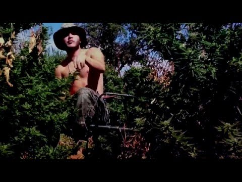 Enjoy Canoa X Mndez - Tridimension ( ViDEO )