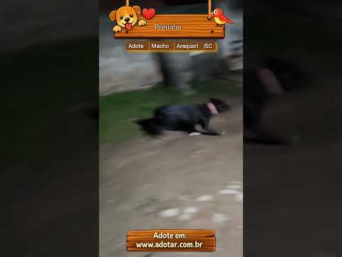 Vídeo de Pretinho