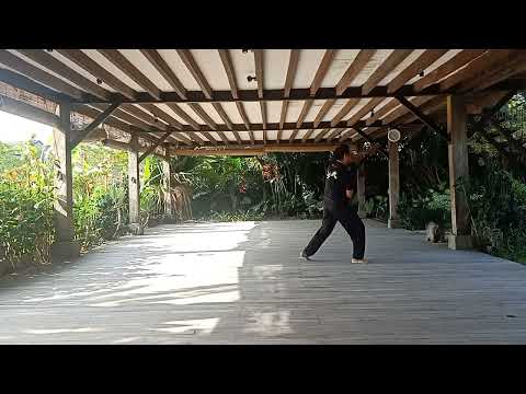 Practice Moment on 12-3-2022 . Chen Style Taiji Dao Practical Method.