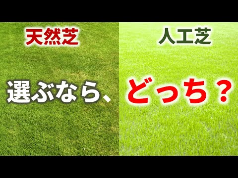 芝生の値段はいくらですか?この価格が期待できます トピックス