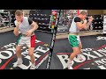 CANELO ALVAREZ WORKING RIB BREAKING UPPERCUTS FOR CALEB PLANT; DRILLS BODY SHOTS WHILE SHADOW BOXING