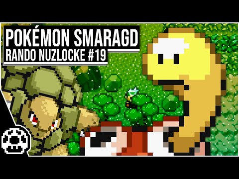 Asche zu Asche, Pottrott zu Pottrott - Pokemon Smaragd: Randomizer Nuzlocke #19