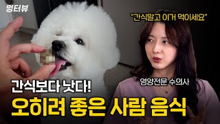 수의사가 추천하는 냉장고 속 강아지 슈퍼푸드 5가지 (간식 다 갖다 버리세요) | 멍터뷰ep.50