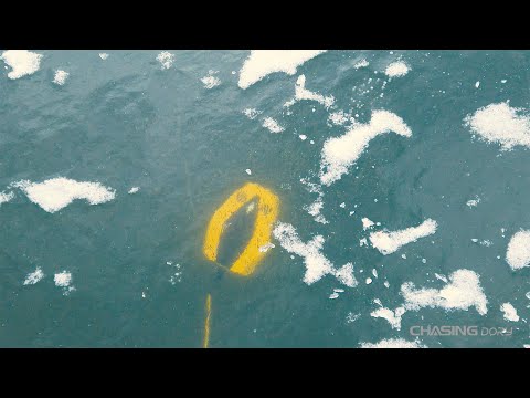 Povandeninins dronas Chasing Dory video