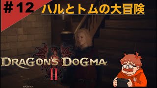 #１２うりふたつの２人 『Dragon's Dogma 2（ドラゴンズドグマ２）』